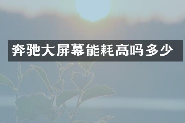 奔驰大屏幕能耗高吗多少