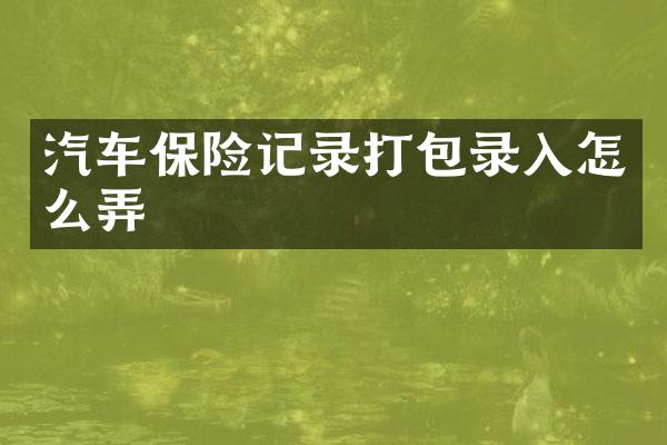 汽车保险记录打包录入怎么弄