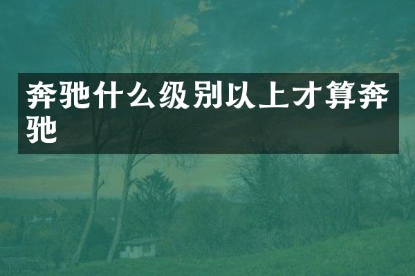 奔驰什么级别以上才算奔驰