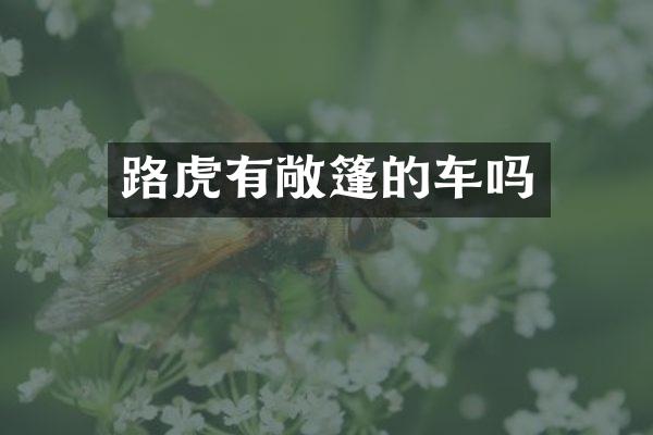 路虎有敞篷的车吗