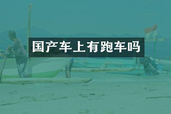 国产车上有跑车吗