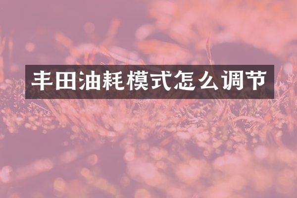 丰田油耗模式怎么调节