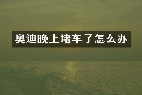 奥迪晚上堵车了怎么办