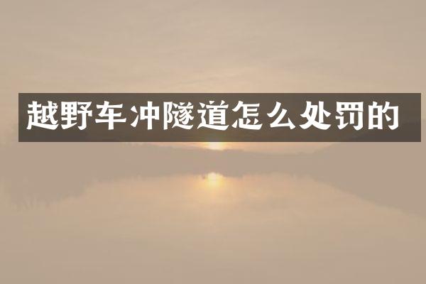 越野车冲隧道怎么处罚的