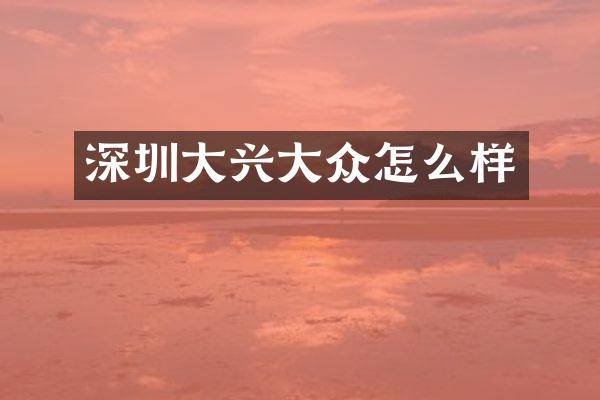 深圳大兴大众怎么样