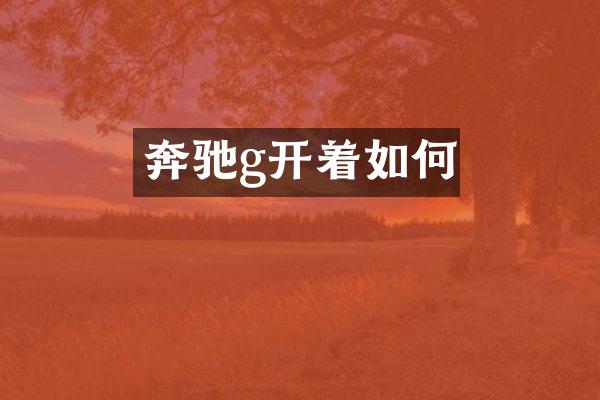 奔驰g开着如何