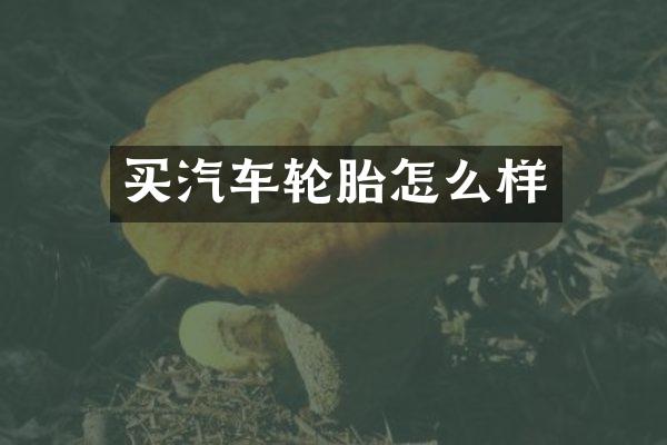买汽车轮胎怎么样