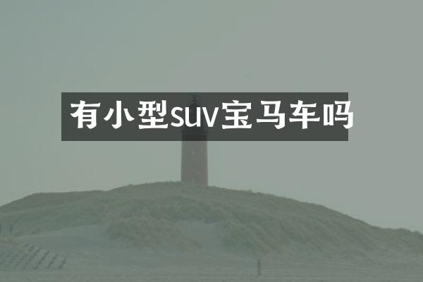 有小型suv宝马车吗
