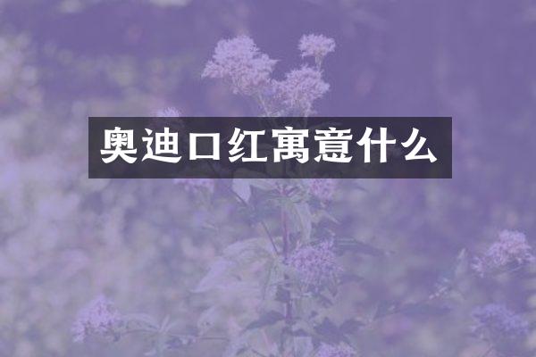 奥迪口红寓意什么