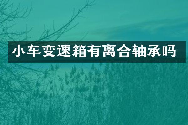 小车变速箱有离合轴承吗