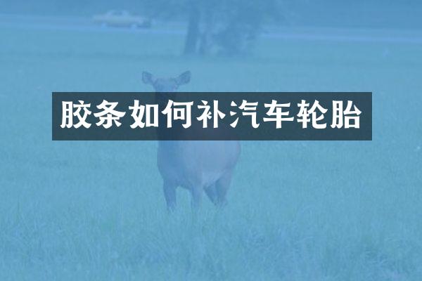 胶条如何补汽车轮胎