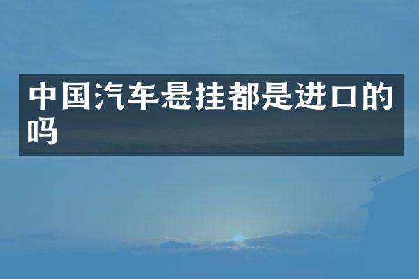 中国汽车悬挂都是进口的吗