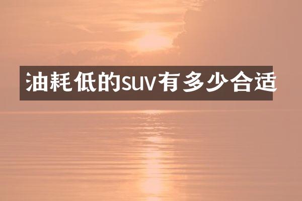 油耗低的suv有多少合适