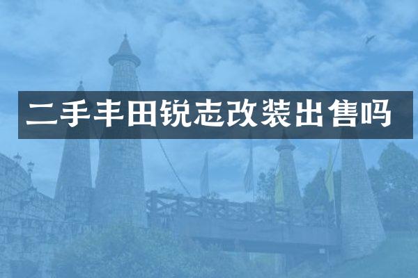 二手丰田锐志改装出售吗