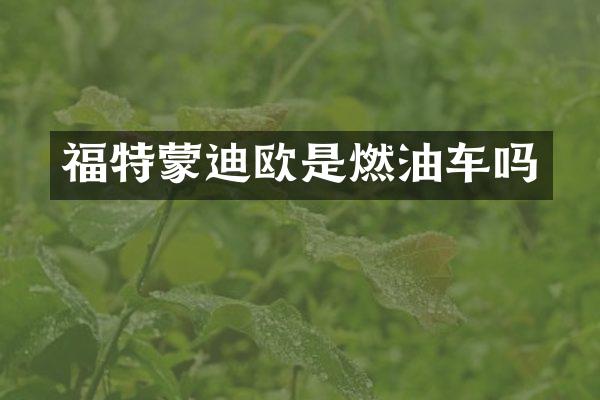 福特蒙迪欧是燃油车吗