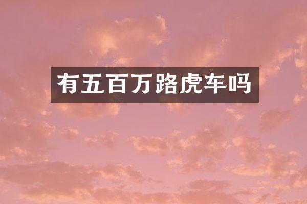 有五百万路虎车吗