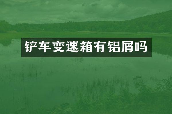 铲车变速箱有铝屑吗