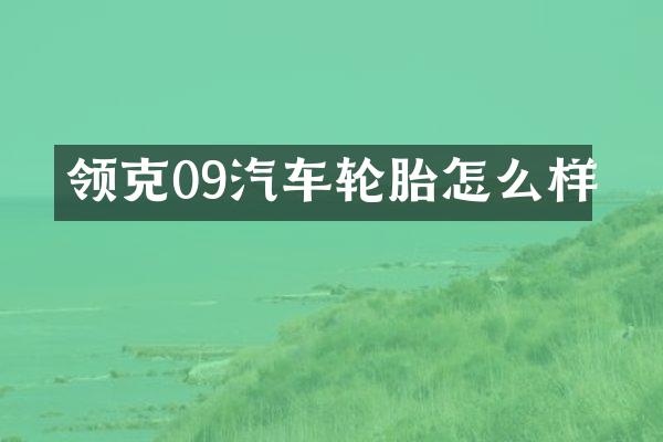 领克09汽车轮胎怎么样