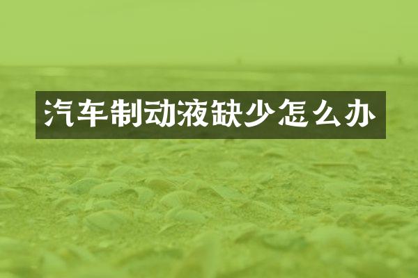 汽车制动液缺少怎么办