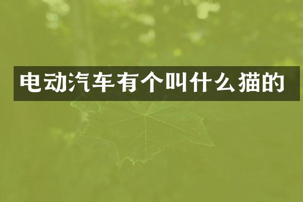 电动汽车有个叫什么猫的