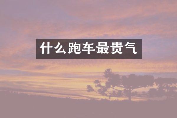 什么跑车最贵气