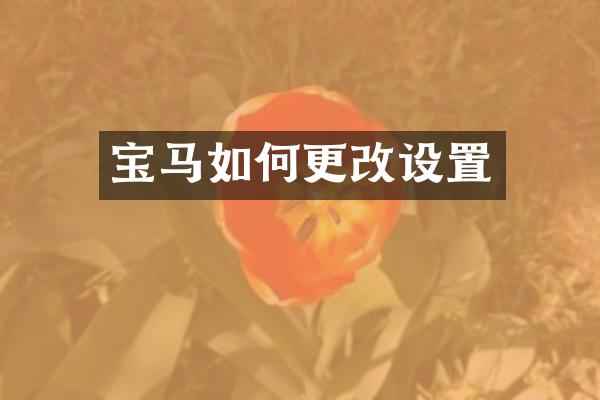 宝马如何更改设置