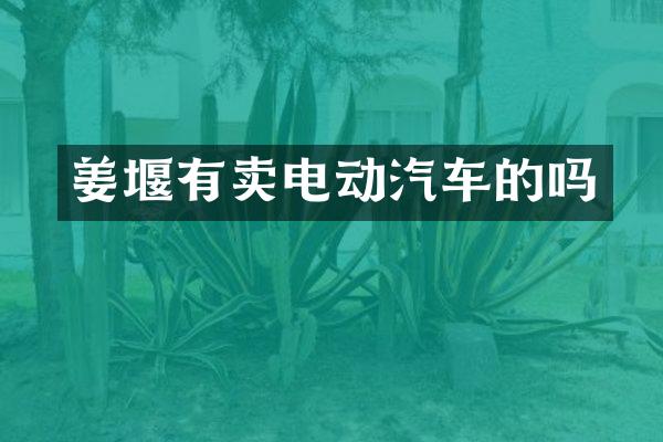姜堰有卖电动汽车的吗