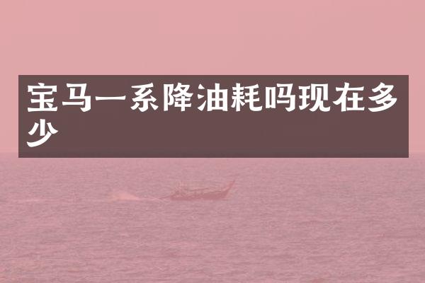 宝马一系降油耗吗现在多少