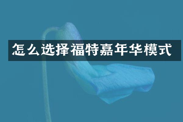 怎么选择福特嘉年华模式