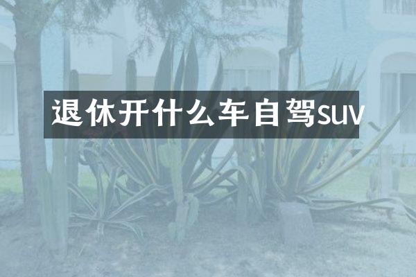 退休开什么车自驾suv