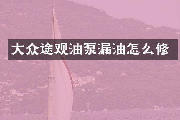 大众途观油泵漏油怎么修