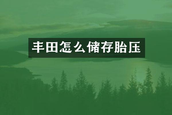 丰田怎么储存胎压