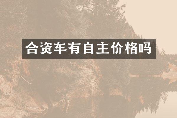 合资车有自主价格吗