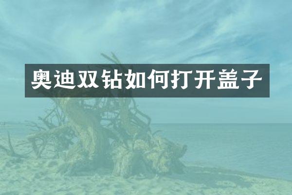 奥迪双钻如何打开盖子