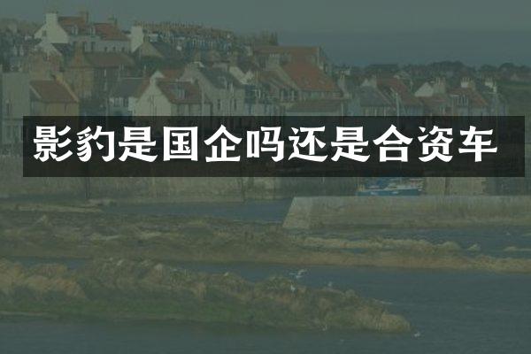影豹是国企吗还是合资车