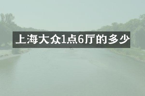 上海大众1点6厅的多少