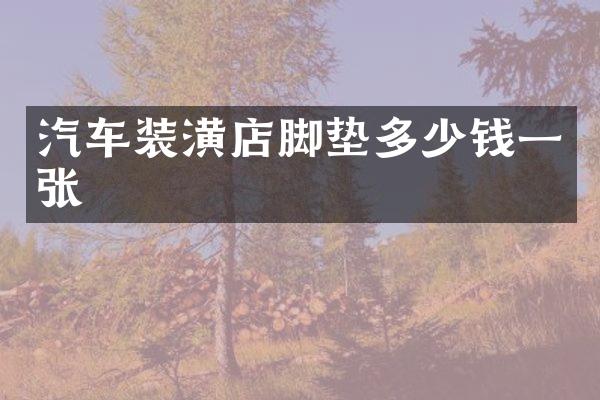 汽车装潢店脚垫多少钱一张