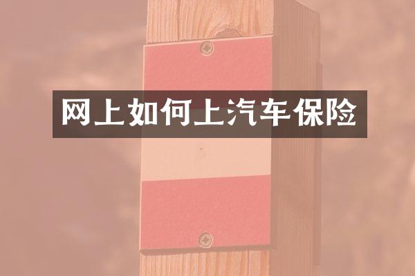 网上如何上汽车保险