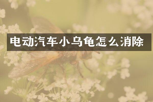 电动汽车小乌龟怎么消除
