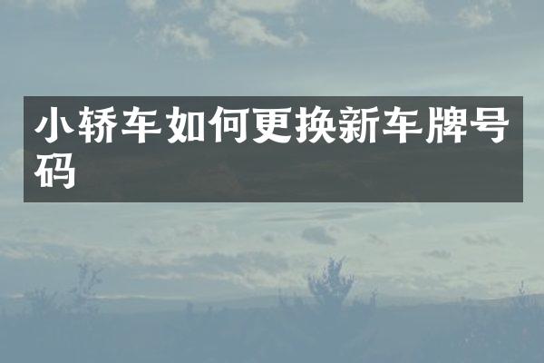 小轿车如何更换新车牌号码