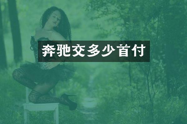 奔驰交多少首付