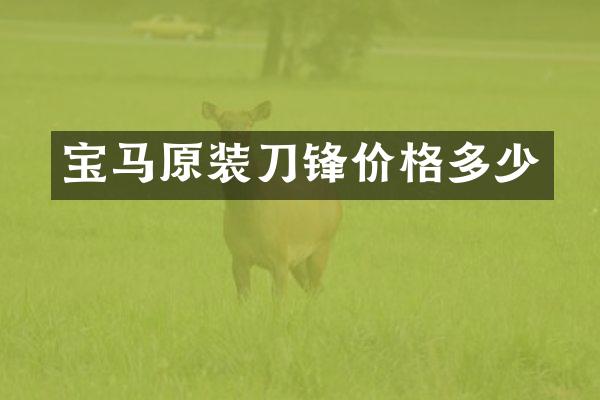 宝马原装刀锋价格多少