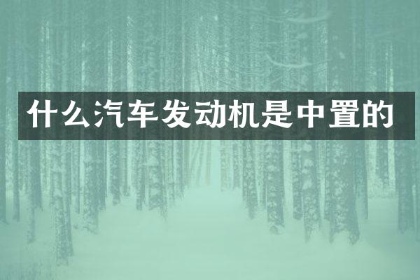 什么汽车发动机是中置的