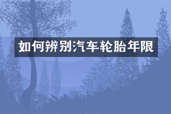 如何辨别汽车轮胎年限