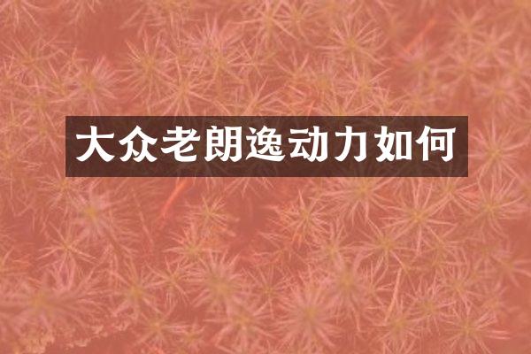 大众老朗逸动力如何