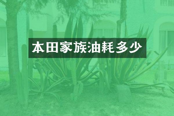 本田家族油耗多少