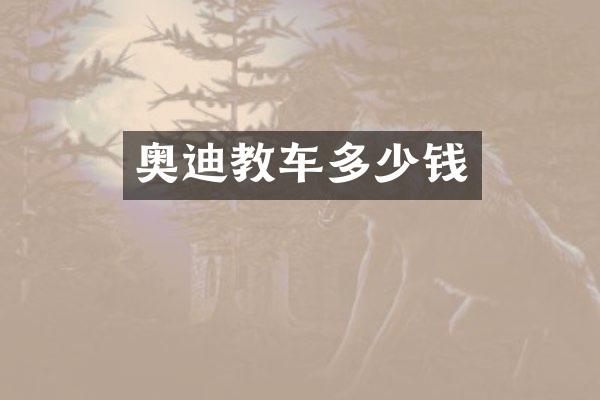 奥迪教车多少钱