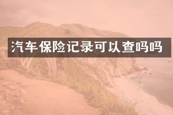 汽车保险记录可以查吗吗