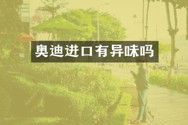 奥迪进口有异味吗
