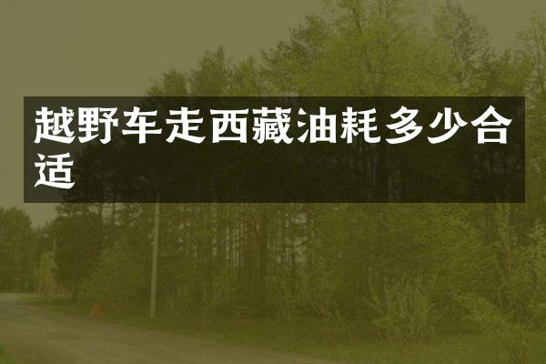 越野车走西藏油耗多少合适